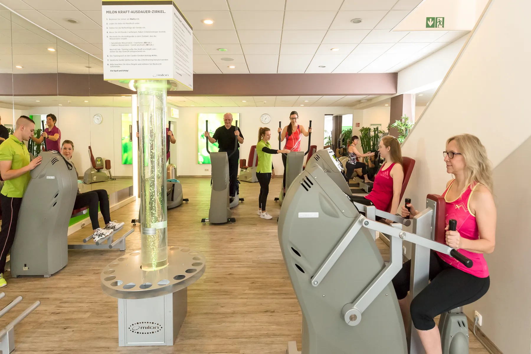 Free Weights